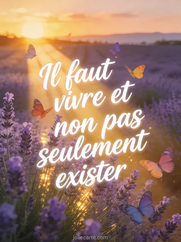 Coucher de soleil aux couleurs chaudes sur un champ de lavande en fleurs avec papillons, texte calligraphié Il faut vivre et non pas seulement exister
