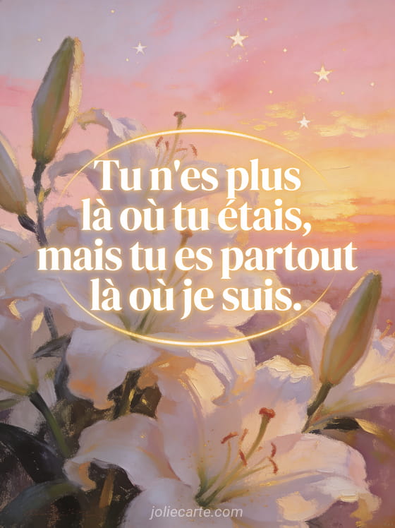 Ciel au coucher du soleil aux teintes roses et dorées avec étoiles et fleurs de lys blanches au premier plan