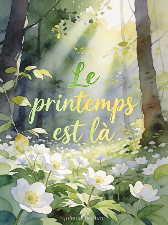 Sous-bois au printemps avec anémones des bois blanches et feuilles vert tendre avec rayons de soleil filtrant à travers la canopée