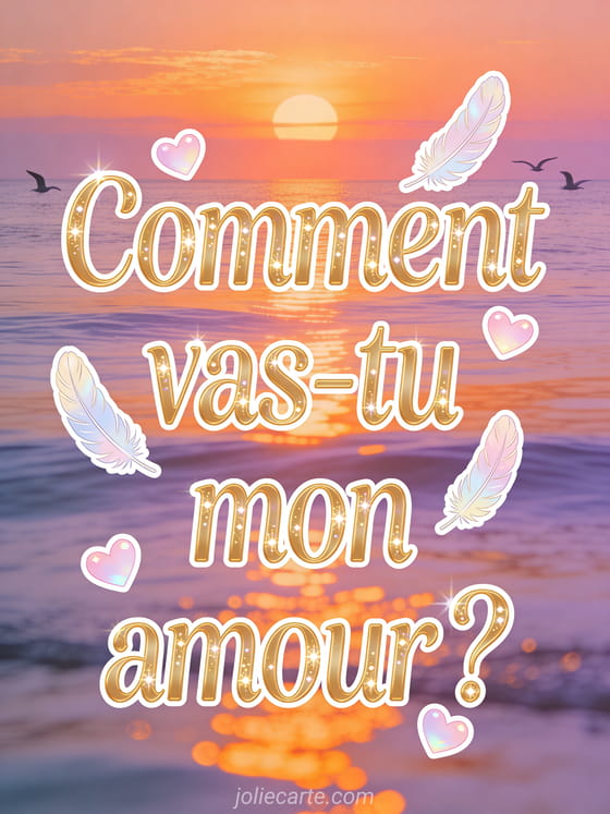 Coucher de soleil sur la mer avec des reflets orangés et violets sur l'eau calme et des silhouettes de mouettes avec le texte Comment vas-tu mon amour