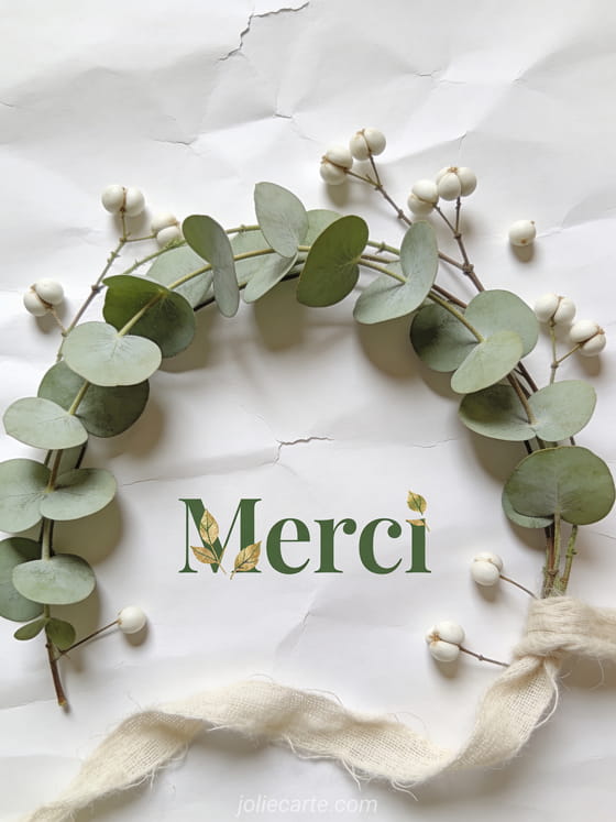 Branches d'eucalyptus fraîches en arc de cercle sur fond de papier blanc cassé, baies blanches et ruban de coton écru