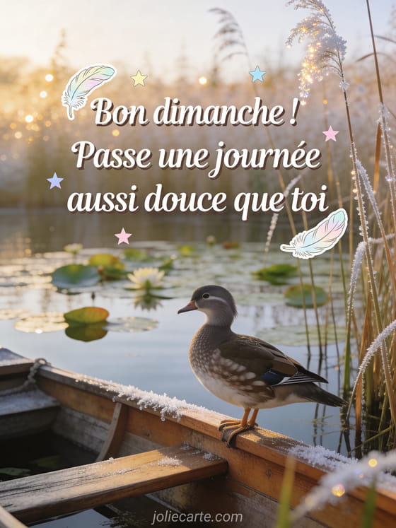 Barque en bois sur un lac calme avec nénuphars et une tourterelle posée sur le rebord sous une lumière matinale dorée et le texte Bon dimanche en lettres blanches
