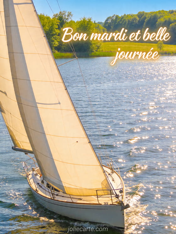 Texte "Bon mardi et belle journée" avec un paysage d'eau.