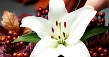 Avec nos pensées les plus douces, nos sincères condoléances.