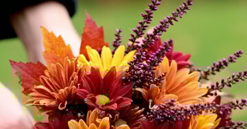 Une pensée pour nos défunts...