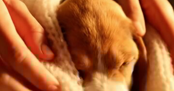 « Cultivons les petites attentions et la tendresse... »