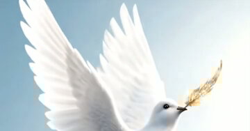 « Que son âme repose en paix... nos pensées l'accompagnent... »