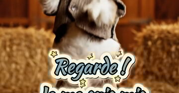 « Regarde ! Je me suis mis sur mon 31... »