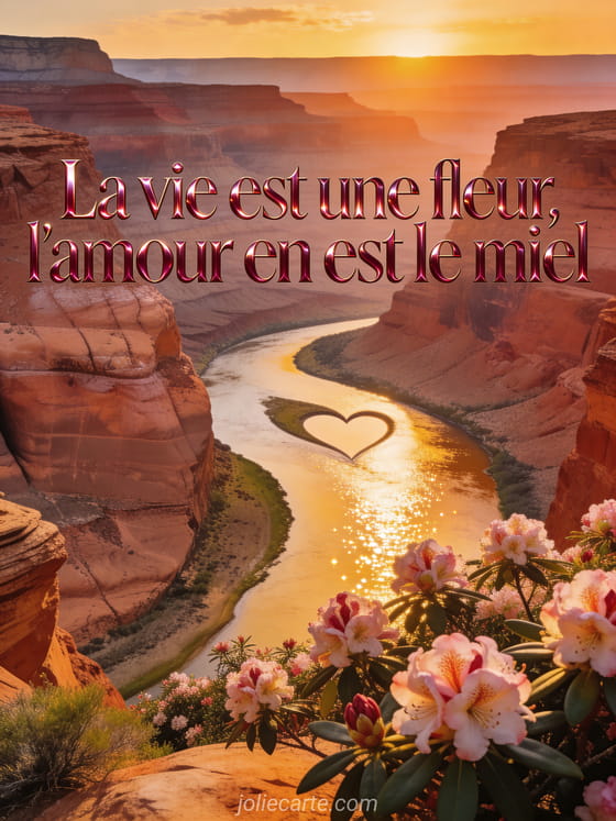 Carte virtuelle