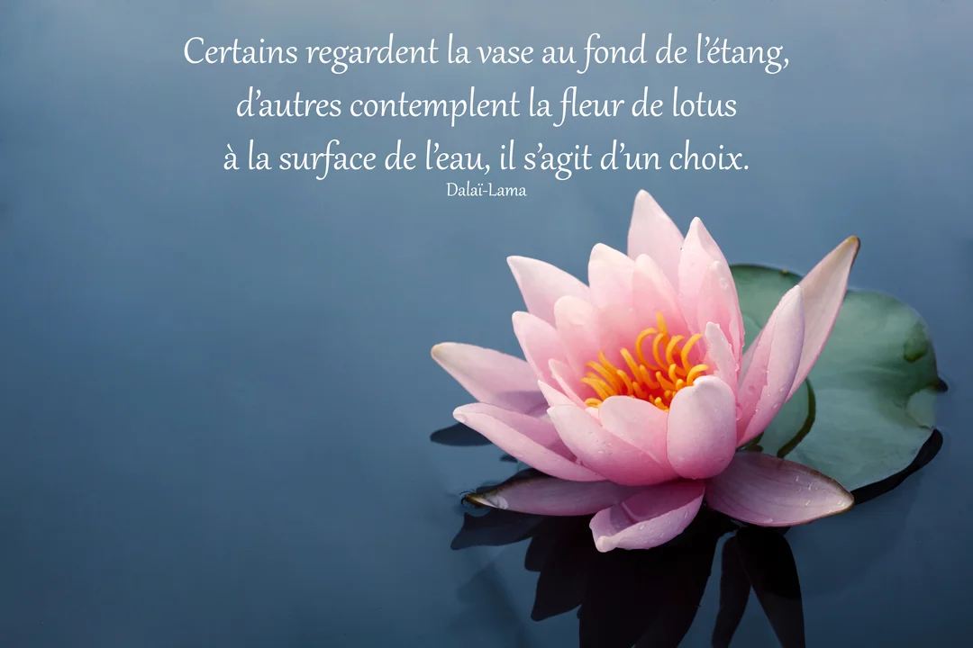 Une fleur de lotus rose aux étamines jaunes flotte sur une eau bleu foncé, accompagnée d'une citation de sagesse en texte blanc.
