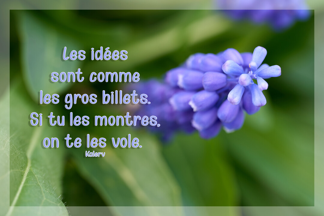 Une photographie en gros plan d'une fleur de muscari violette sur un fond de feuilles vertes, avec une citation superposée en lettres claires.