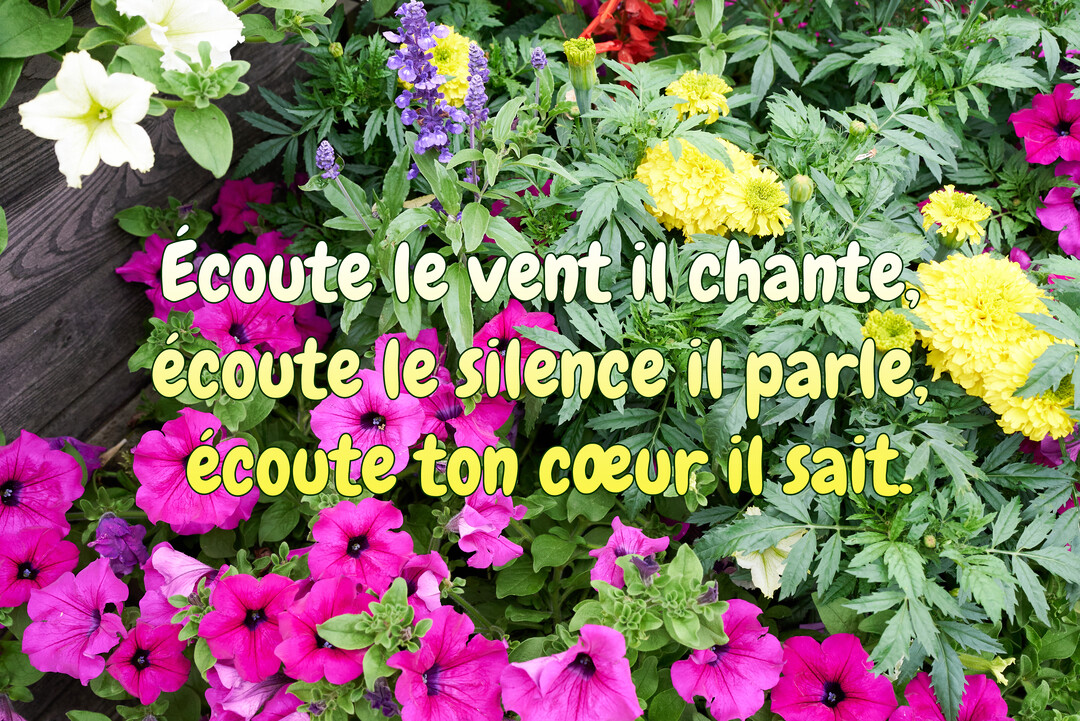 Une citation poétique sur l'écoute est superposée sur une photographie d'un parterre de fleurs colorées, principalement des pétunias roses et des œillets jaunes.