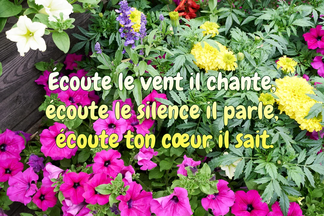 Une citation poétique sur l'écoute est superposée sur une photographie d'un parterre de fleurs colorées, principalement des pétunias roses et des œillets jaunes.