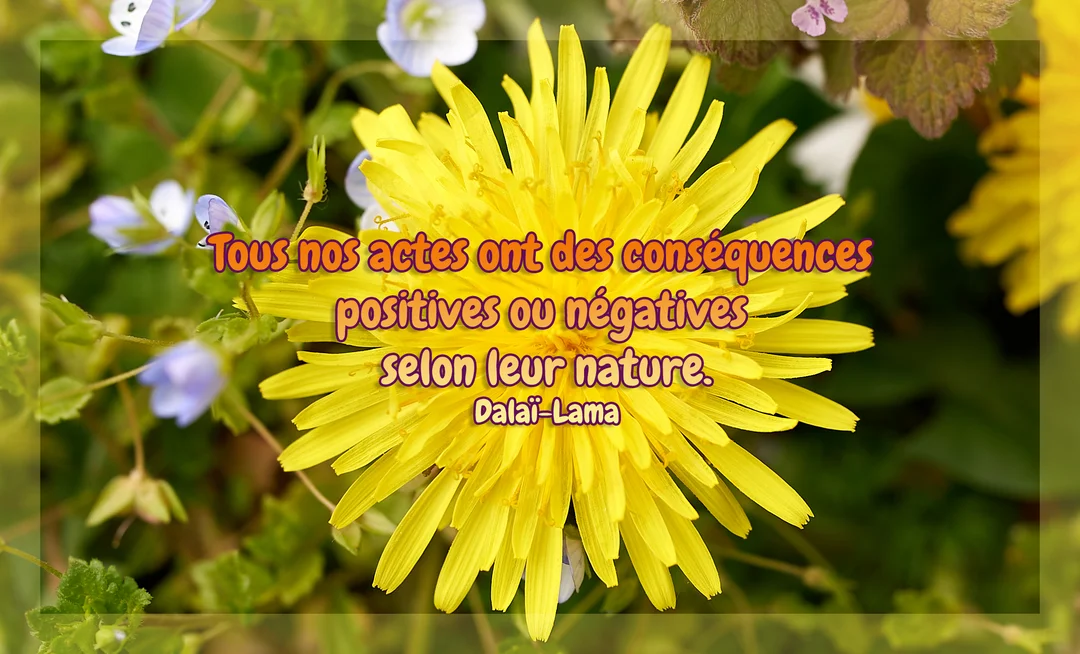 Une citation du Dalaï-Lama est superposée sur une photographie macro d'un pissenlit jaune, entouré de feuillage vert et de petites fleurs bleues.