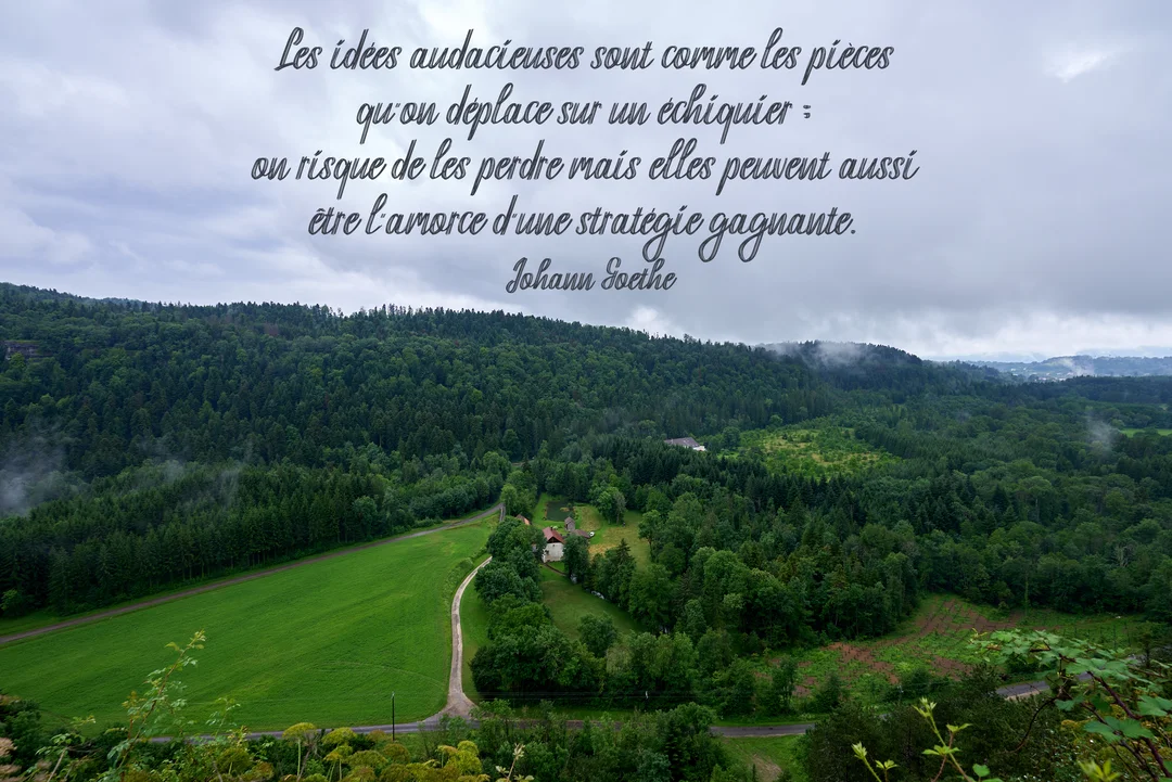 Une citation de Johann Goethe est superposée sur une photographie d'un vaste paysage vallonné couvert de forêts denses sous un ciel couvert.