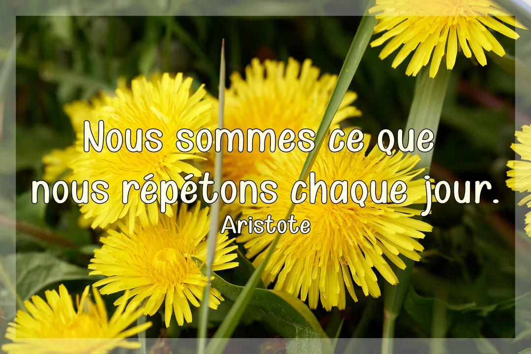 Photographie en gros plan de pissenlits jaunes, sur laquelle est inscrite une citation philosophique sur l'importance des habitudes quotidiennes.