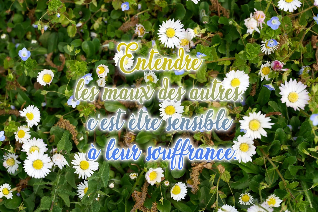 Vue de dessus d'un tapis de verdure parsemé de pâquerettes blanches et de petites fleurs bleues, avec une citation superposée au centre.