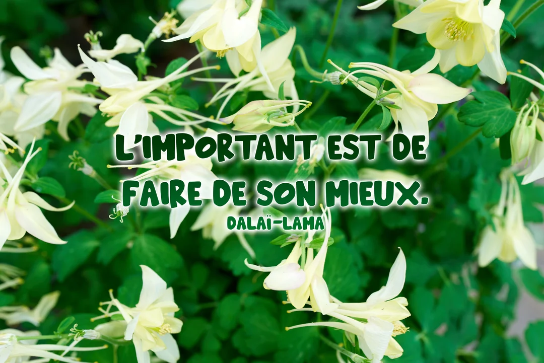 Une citation de motivation du Dalaï-Lama est superposée sur une photographie de délicates fleurs blanches et jaunes sur un fond de feuillage vert.