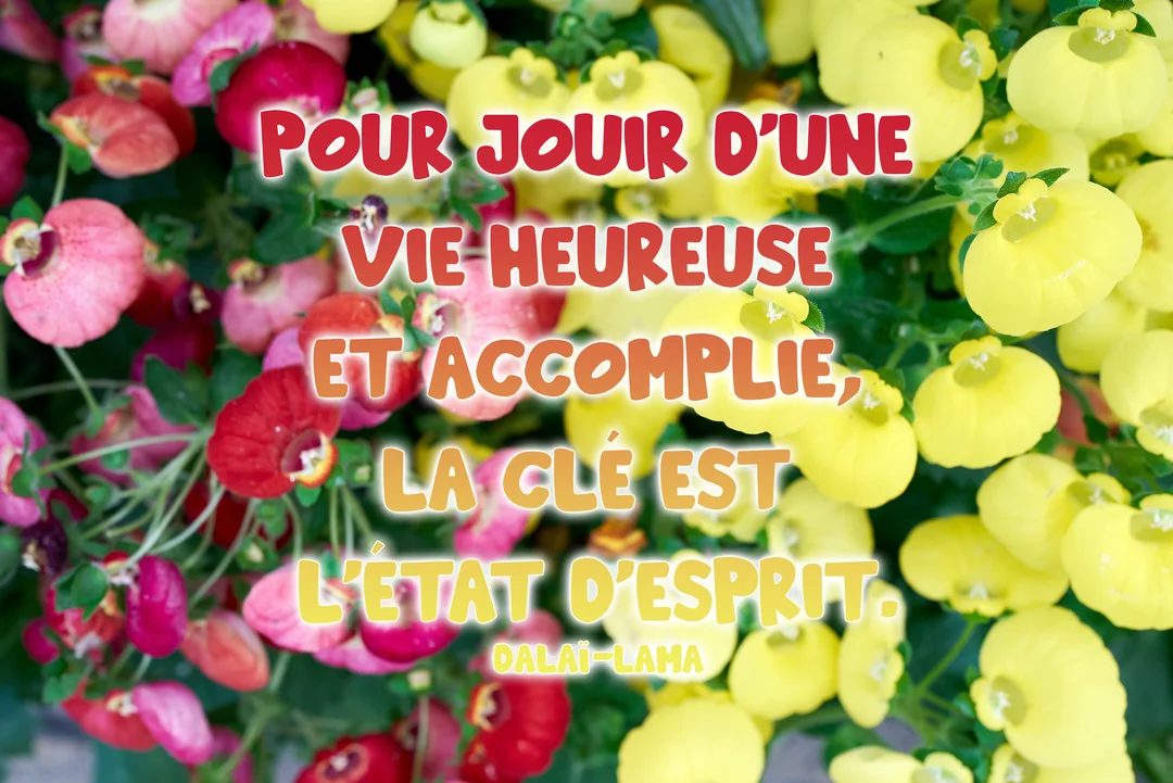 Une citation inspirante du Dalaï-Lama superposée sur une photographie macro de petites fleurs jaunes, roses et rouges aux formes originales de Calceolaria.