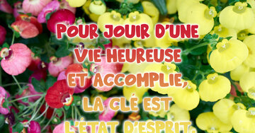 Aperçu de la carte : « Pour jouir d'une vie heureuse et accomplie, la clé... »