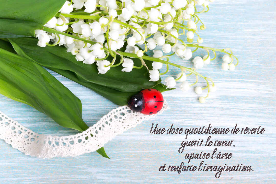 Une composition photographique montrant un bouquet de muguet et une coccinelle sur un fond en bois bleu clair, avec un texte manuscrit.