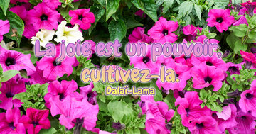 Aperçu de la carte : La joie est un pouvoir, cultivez-la.