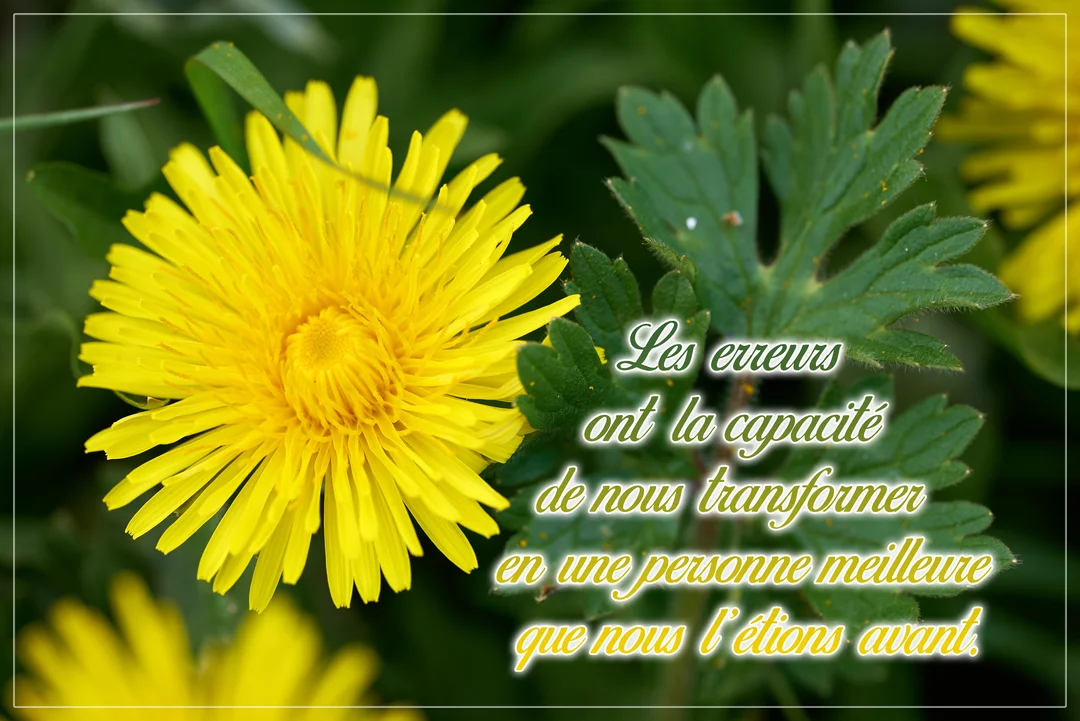 Un pissenlit jaune vif en gros plan à côté d'une feuille verte, sur un fond de nature flou, illustrant une citation sur l'apprentissage.