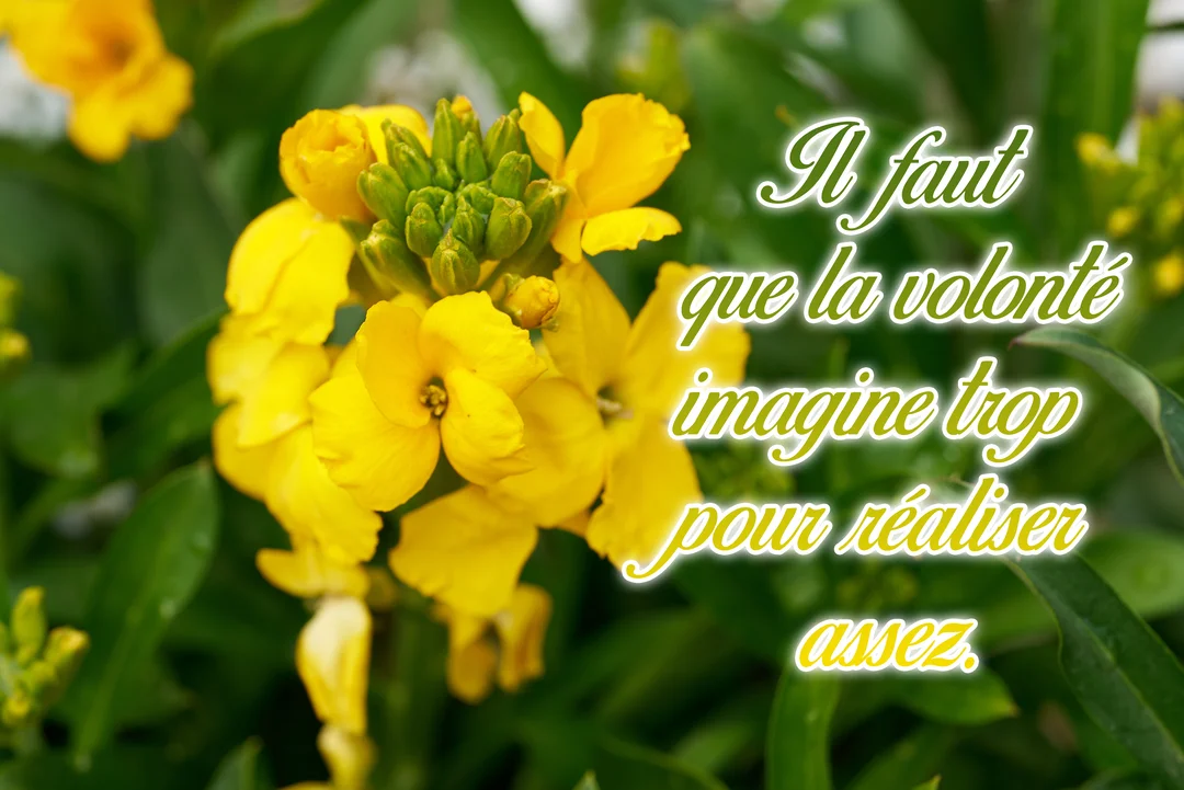 Gros plan sur des fleurs de giroflée jaune vif, avec des bourgeons verts, sur lesquelles est inscrite une citation en lettres cursives lumineuses.