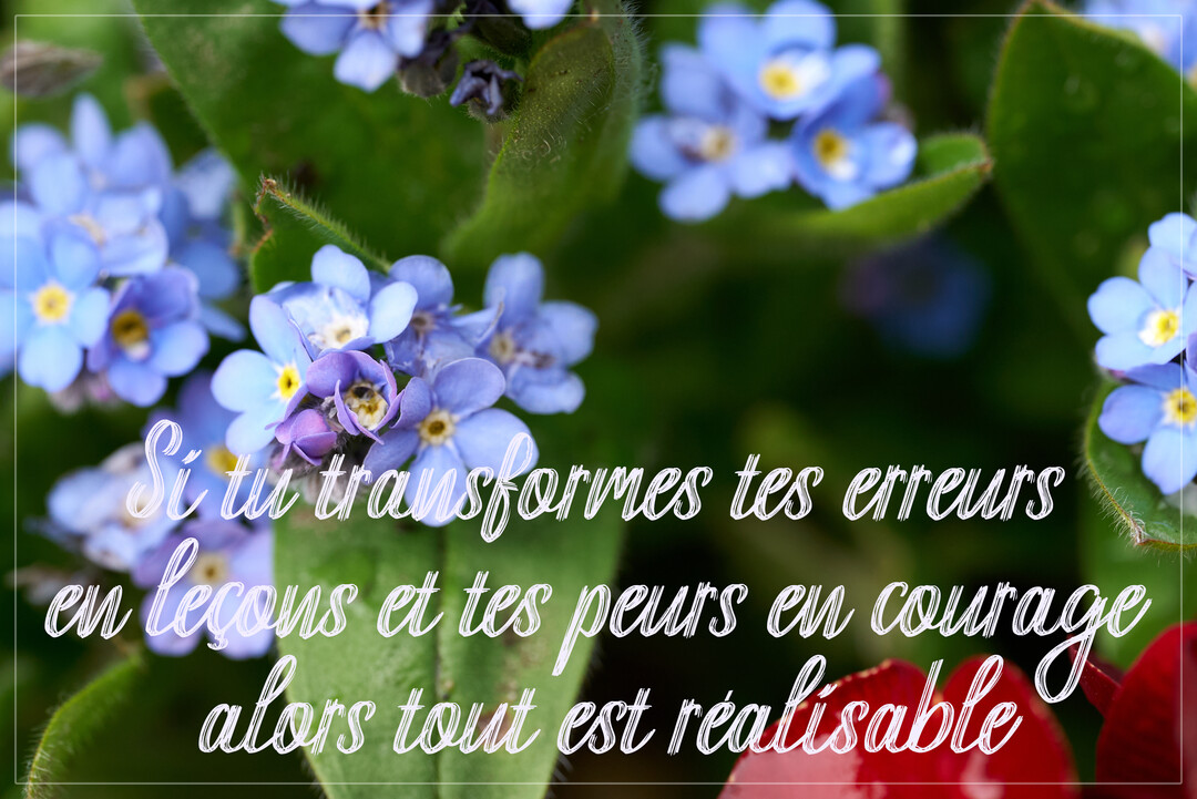 Photographie en gros plan de délicates fleurs de myosotis bleues, avec une citation inspirante sur la transformation des erreurs et des peurs superposée.