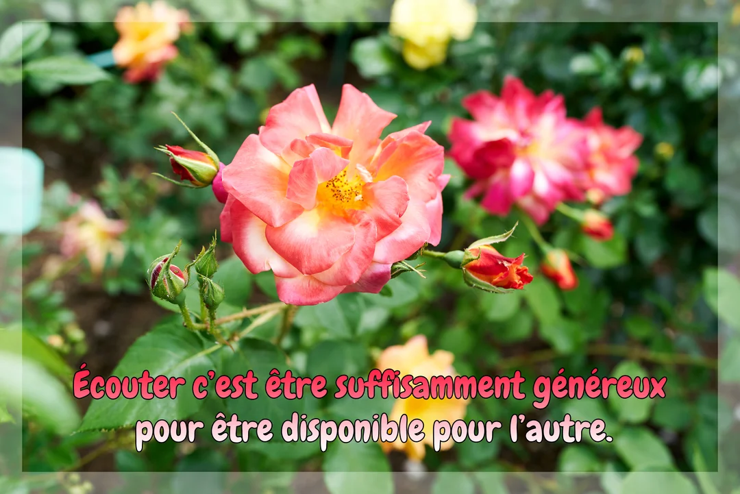 Photographie d'une rose épanouie aux pétales roses et jaunes, sur un fond de rosiers en fleurs, avec un texte superposé.