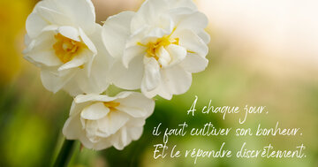 Aperçu de la carte : « À chaque jour, il faut cultiver son bonheur et le répandre... »