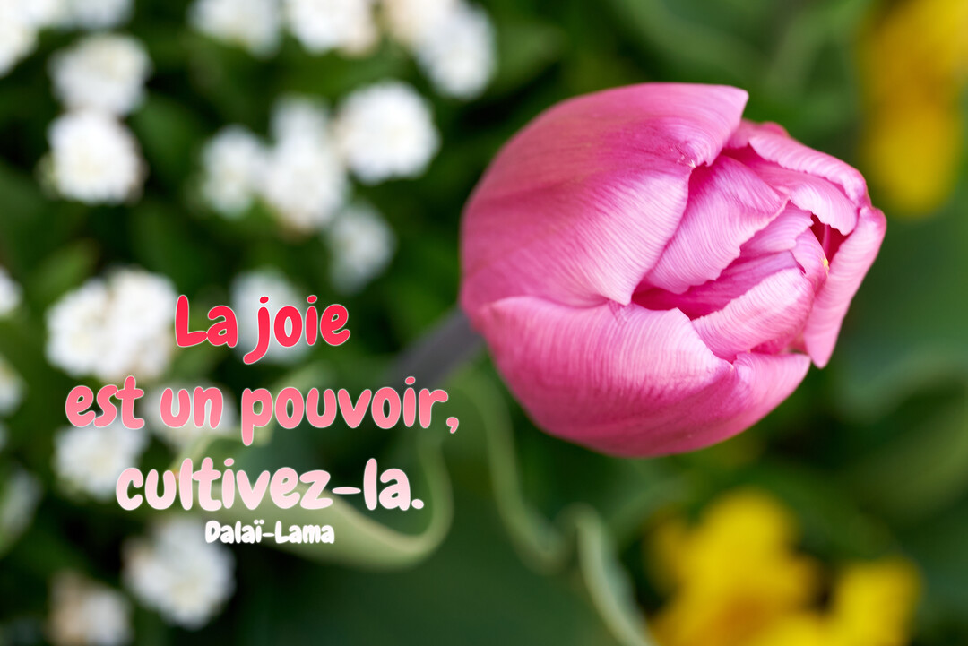 Gros plan sur un bouton de tulipe rose vif, avec en superposition une citation inspirante, sur un arrière-plan floral flou vert et blanc.