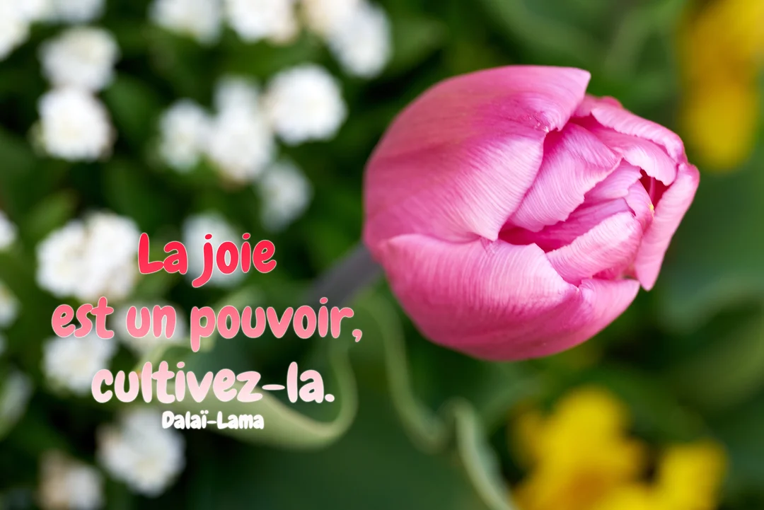 Gros plan sur un bouton de tulipe rose vif, avec en superposition une citation inspirante, sur un arrière-plan floral flou vert et blanc.