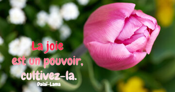 Aperçu de la carte : La joie est un pouvoir, cultivez-la.Dalaï-Lama