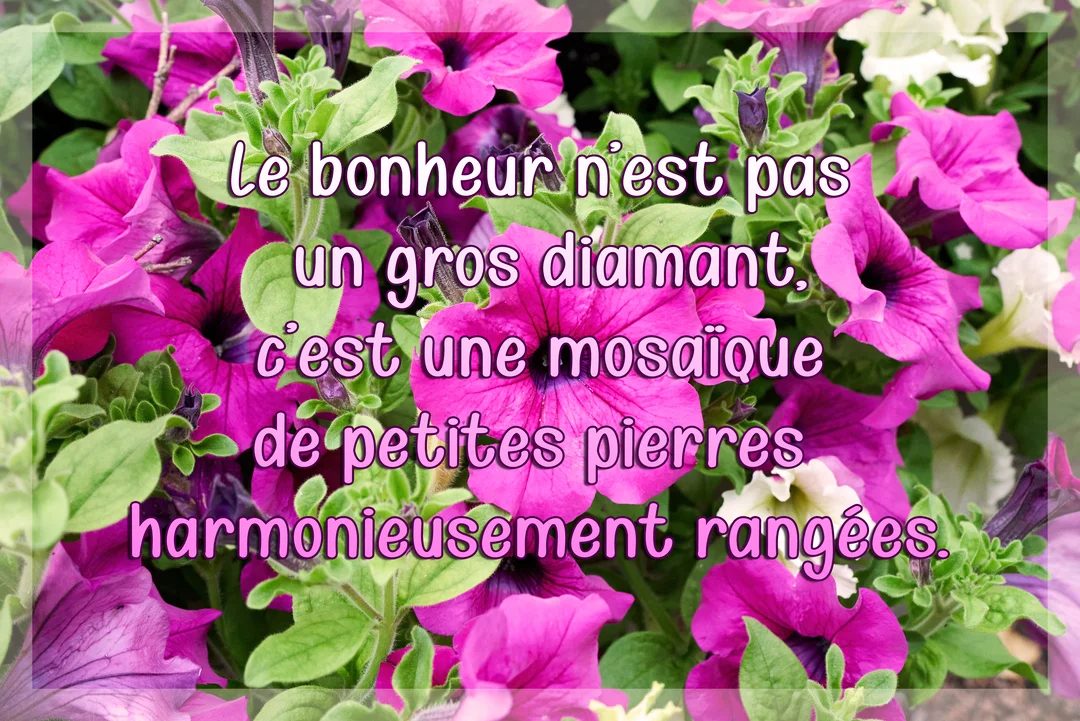 Une citation sur le bonheur est superposée sur une photographie en gros plan de nombreuses fleurs de pétunias fuchsia et de feuilles vertes.