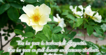 Aperçu de la carte : « Tous les jours le bonheur est atteignable, tous les jours... »