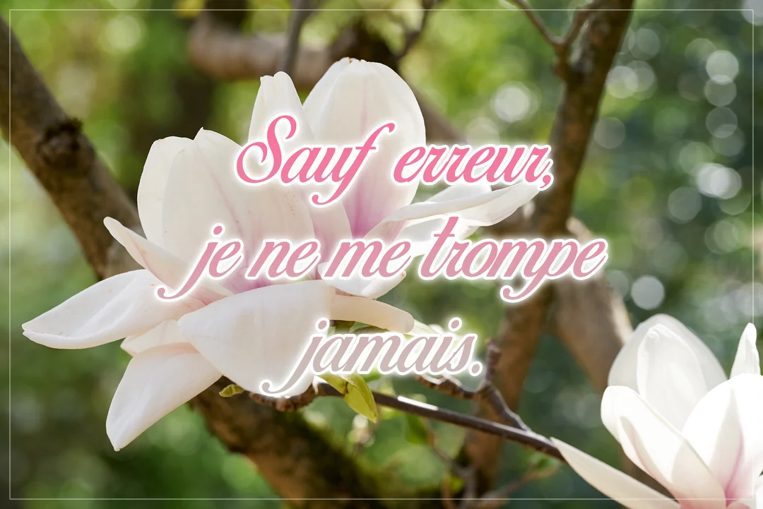 Une citation humoristique en rose est superposée sur la photographie en gros plan d'une délicate fleur de magnolia blanche sur sa branche.