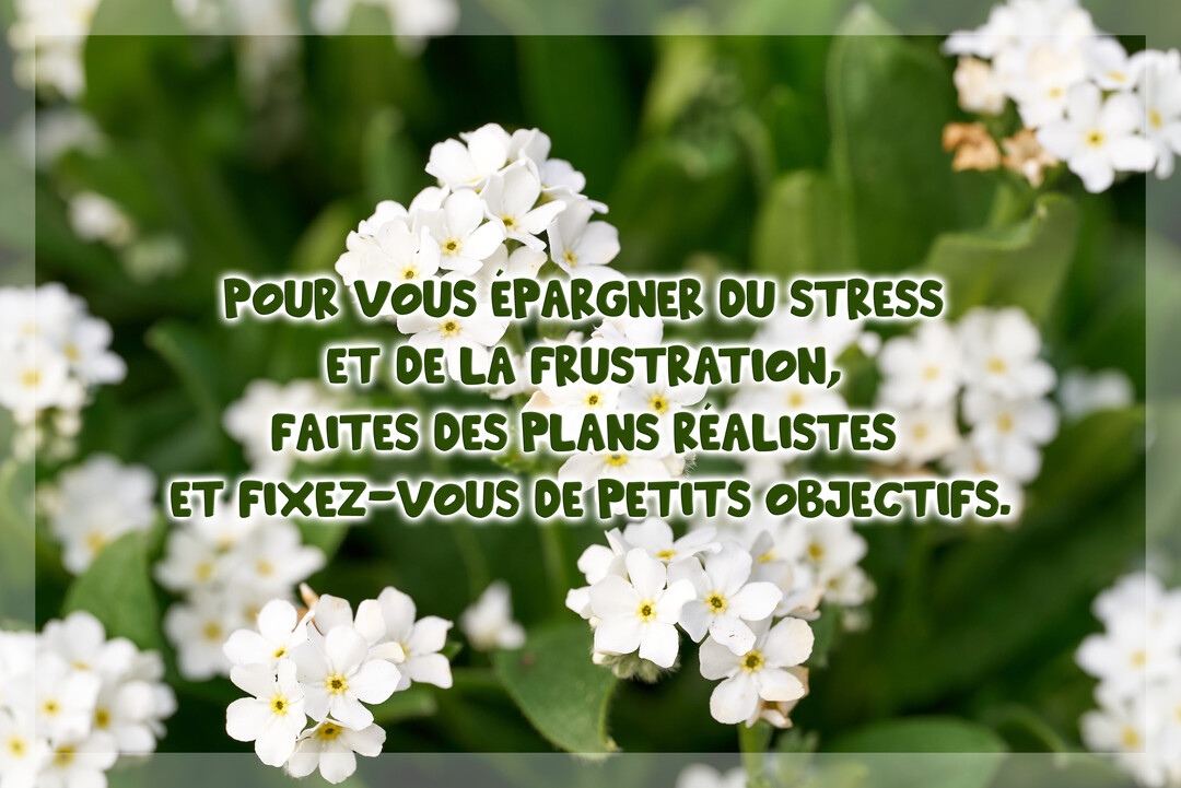Gros plan sur de petites fleurs blanches au cœur jaune, sur fond de feuillage vert, avec un texte de conseil pour réduire le stress superposé.