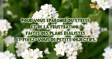 Aperçu de la carte : « Pour vous épargner du stress, faites des plans réalistes et fixez de petits objectifs... »
