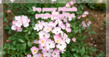 Trop penser à demain gaspille aujourd'hui.