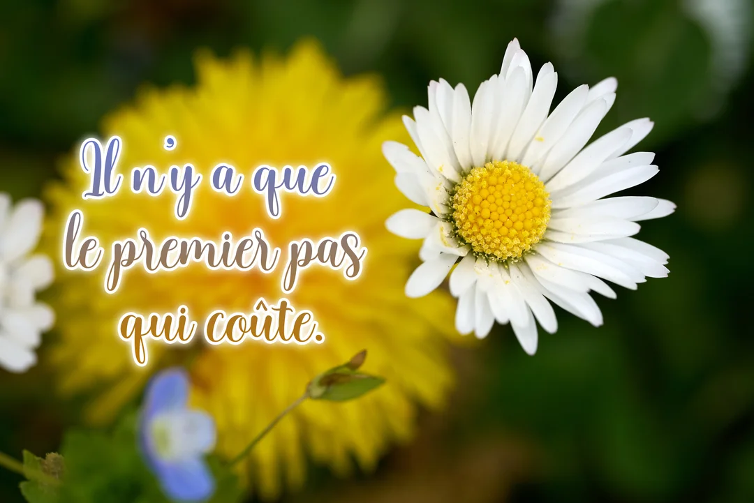 Une pâquerette blanche et une fleur jaune en arrière-plan illustrent la citation manuscrite 'Il n'y a que le premier pas qui coûte'.