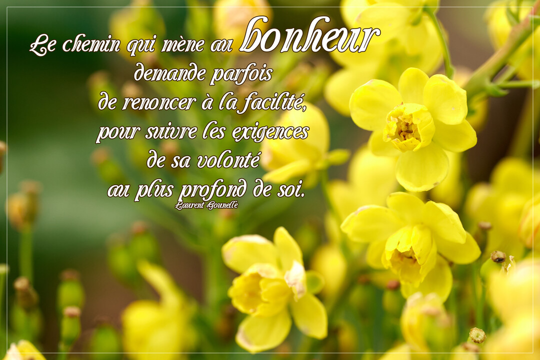 Une carte de pensée avec une citation sur la volonté, écrite en police script sur une photographie de fleurs jaunes en pleine floraison.