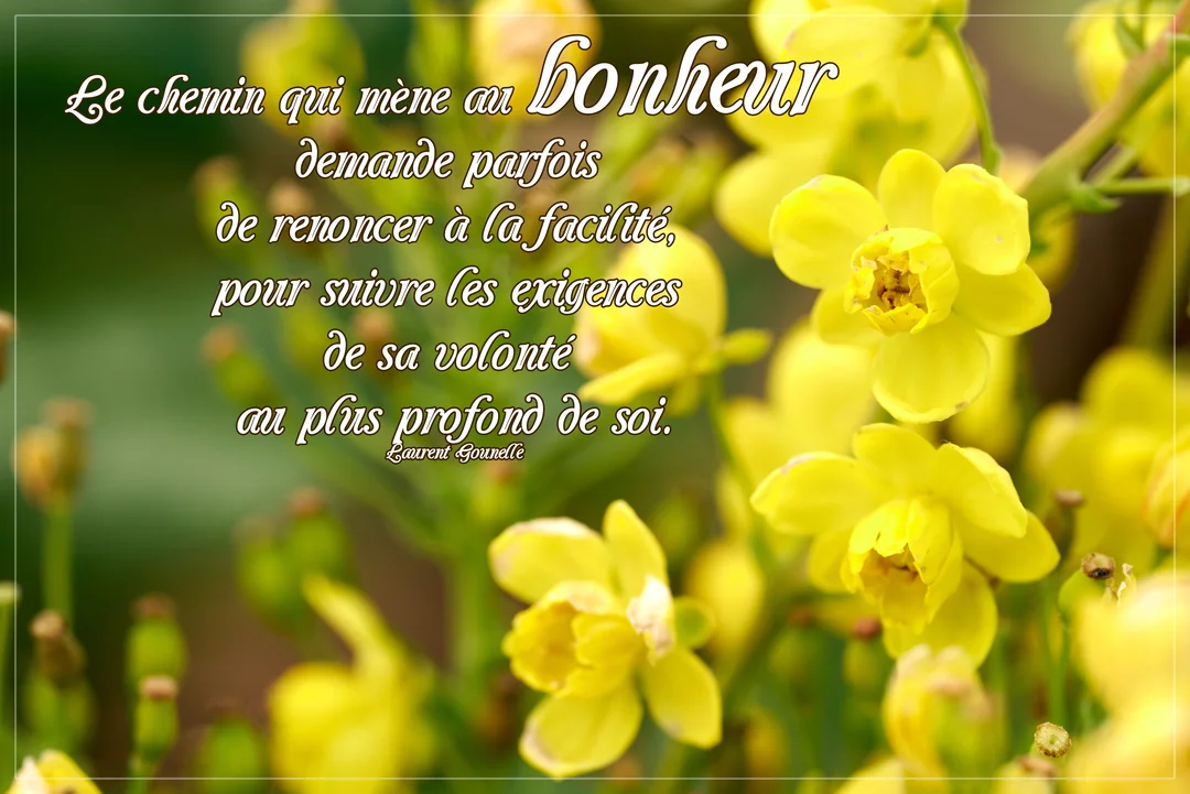 Une carte de pensée avec une citation sur la volonté, écrite en police script sur une photographie de fleurs jaunes en pleine floraison.