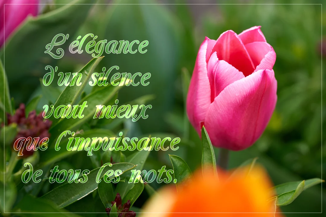 Une tulipe rose fuchsia s'épanouit au milieu de feuilles vertes, illustrant une citation sur l'élégance du silence, écrite en lettres stylisées vertes.
