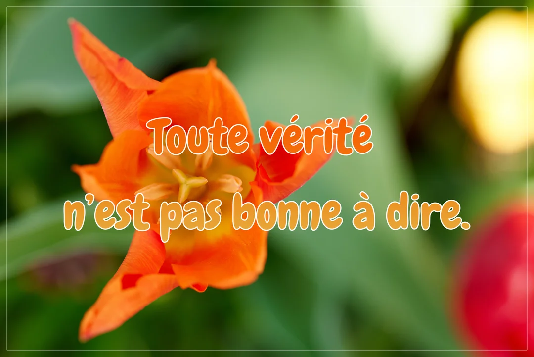 Gros plan sur une tulipe orange épanouie, sur un fond de verdure flou, avec une citation sur la vérité superposée au centre.