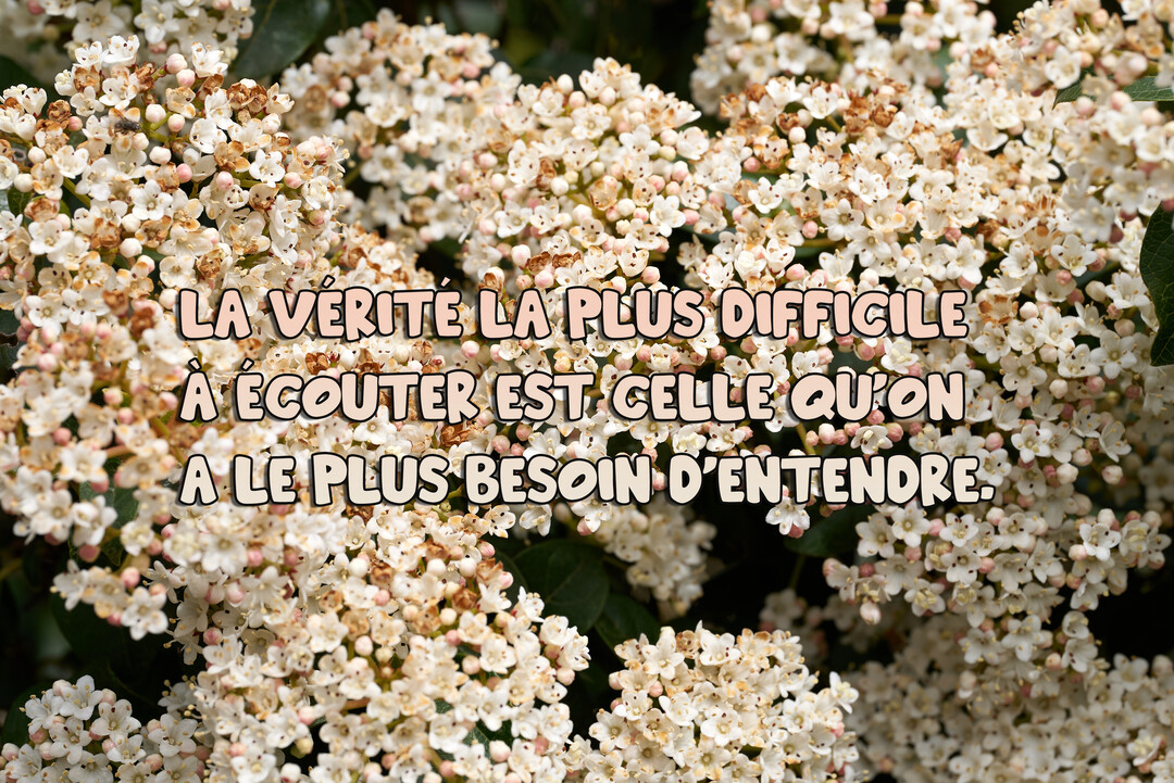 Une citation sur la vérité est écrite en lettres arrondies sur un fond photographique de délicates grappes de fleurs blanches et beiges.