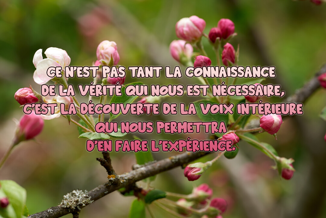 Une citation inspirante est superposée sur une photographie en gros plan de bourgeons floraux roses et blancs sur une branche d'arbre au printemps.
