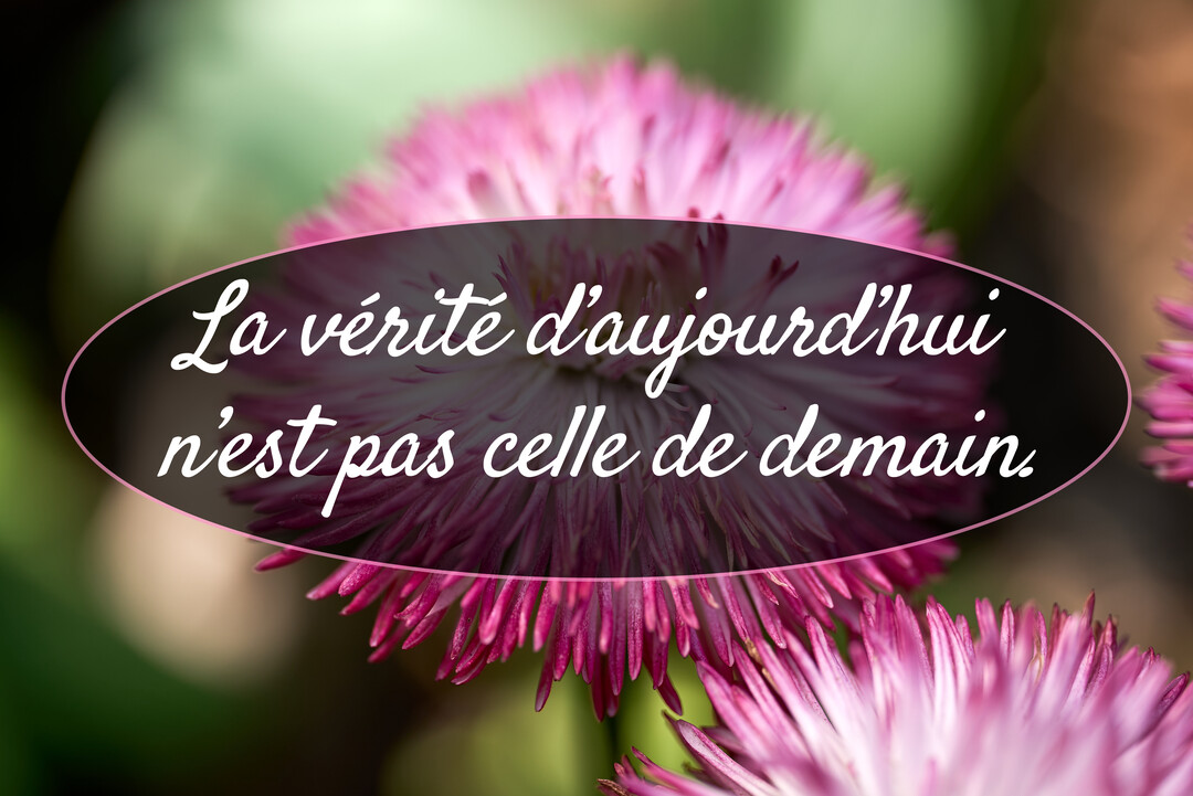 Une citation philosophique est écrite en blanc sur une bulle foncée, superposée à une photographie en gros plan d'une fleur rose.