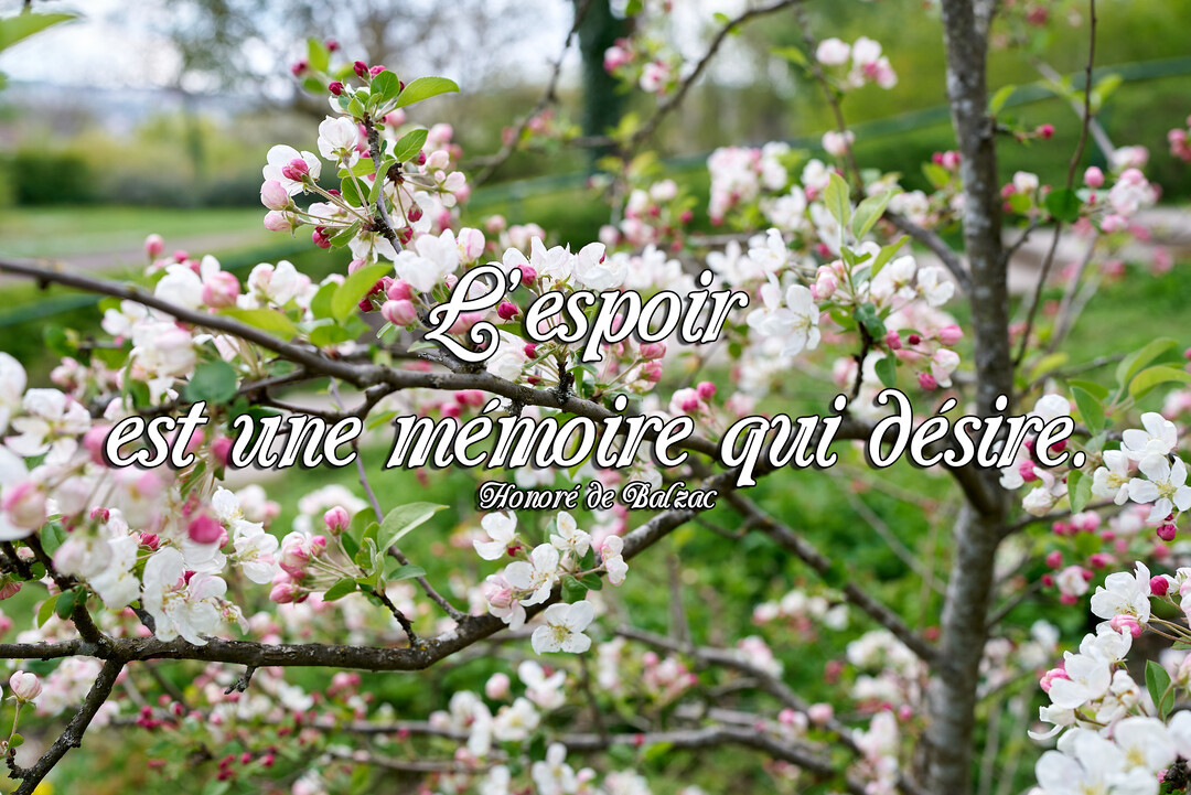 Des branches de pommier fleuries, avec des fleurs blanches et roses, sur lesquelles est inscrite une citation poétique en blanc sur l'espoir.