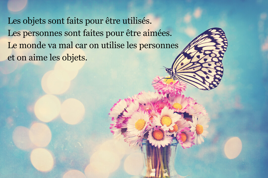 Un papillon noir et blanc est posé sur un bouquet de pâquerettes roses et blanches, sur un fond bleu ciel avec un effet bokeh lumineux.